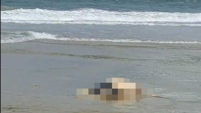 Mayat Tanpa Identitas Ditemukan di Pantai Bintan Lagoon