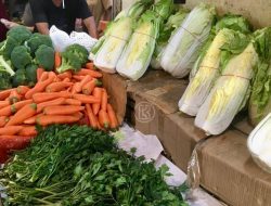 Disdagin Tanjungpinang Bantah Ada Monopoli Kenaikan Harga Bahan Pokok