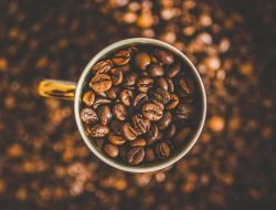 Mengenal Perbedaan Kopi Robusta dan Arabika, Mana yang Lebih Aman untuk Penderita Asam Lambung?
