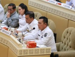 Gubernur Kepri Ungkap Ketimpangan Daerah Perbatasan di Rapat DPR, Dorong UU Kepulauan Disahkan