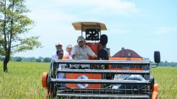 Stok Beras Tembus 3,7 Juta Ton, Indonesia Masuki Era Ketahanan Pangan Tanpa Impor
