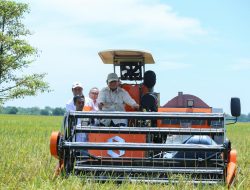 Stok Beras Tembus 3,7 Juta Ton, Indonesia Masuki Era Ketahanan Pangan Tanpa Impor