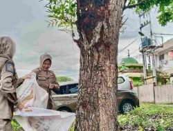Satpol PP Tanjungpinang Tertibkan Pamflet Liar, Warga Diimbau Tertib Beriklan
