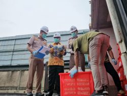 Kepri Ekspor 19,2 Ton Kelapa ke Malaysia