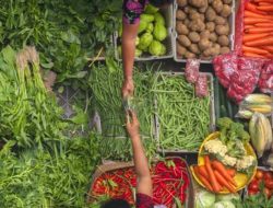 Harga Sejumlah Bahan Pokok di Tanjungpinang Turun, Cabai, Ayam, dan Ikan Lebih Murah