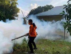 Kasus DBD di Tanjungpinang Naik, Dinkes Lakukan Fogging dan Imbau Warga Waspada