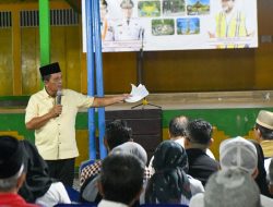 Pemprov Kepri Lanjutkan Penataan Pulau Penyengat ke Tahap 3