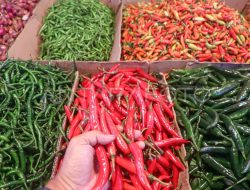 Mendagri Tito Minta Daerah Kendalikan Inflasi di Atas 3,5 Persen