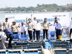 Panen Perdana Lobster di Batam, Wapres Gibran Dorong Industrialisasi Perikanan