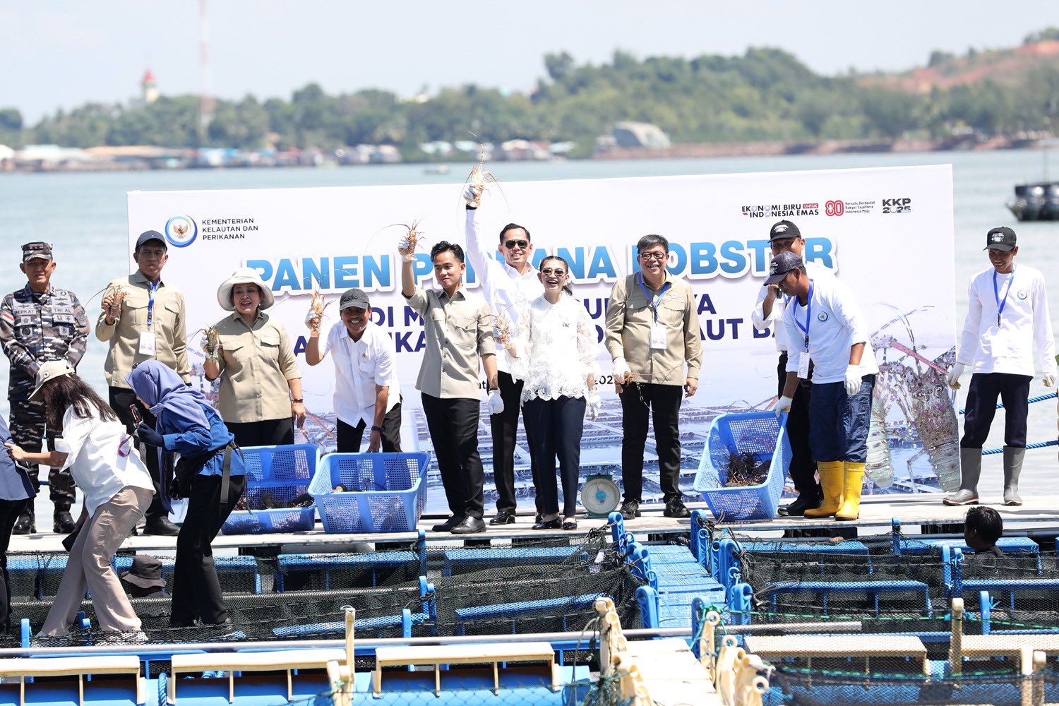 Panen Perdana Lobster di Batam, Wapres Gibran Dorong Industrialisasi Perikanan