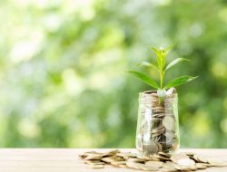 Ekonomi Kepri 2025 Tumbuh Stabil, Kredit Perbankan Melonjak Dua Kali Lipat