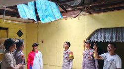 Cuaca Ekstrem, Pohon Kelapa Tumbang Timpa Rumah Warga di Lingga