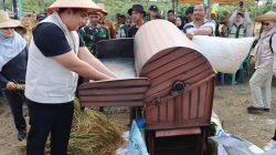 Perkuat Ketahanan Pangan, Bupati Roby Panen Perdana Padi Gogo Bersama Petani Maju Jaya. Dok : Kominfo Kabupaten Bintan