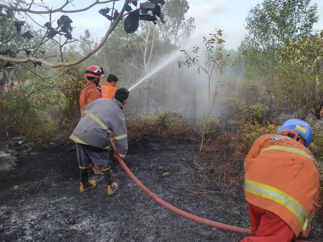 Kebakaran Lahan 5 Hektare di Tanjungpinang, Asap Pekat Ganggu Lalu Lintas. Dok : Pemko Tanjungpinang