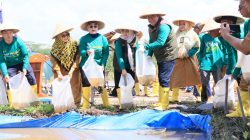 Tanam Bersama di Bintan Buyu, Sekda Ronny Kartika Optimis Pertanian Bintan Maju. Dok : Kominfo Kabupaten Bintan