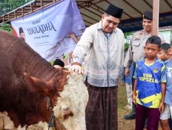 Bupati dan Wakil Bupati Bintan Hadiri Sholat Idul Adha, Serahkan Sapi Kurban Presiden RI