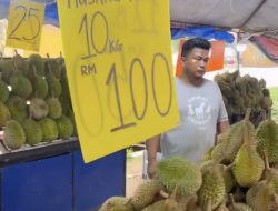 Malaysia Dilanda “Tsunami Durian”, Harga Anjlok Drastis hingga Rp2 Ribuan per Buah