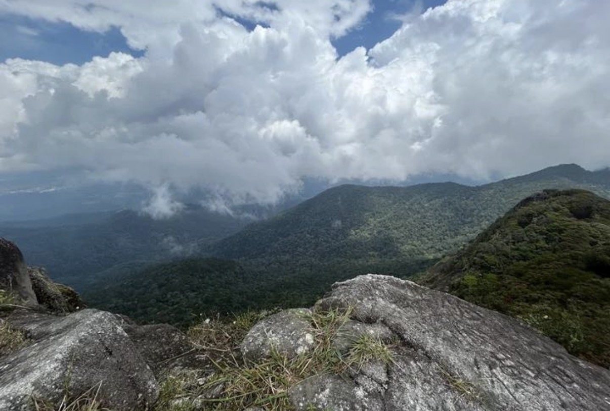 Jalur pendakian Gunung Jantan, Kabupaten Karimun, lokasi kedua pendaki sempat kehilangan arah sebelum akhirnya ditemukan dalam keadaan selamat sekitar 50 meter dari Pos 1 pendakian. Dok : Google