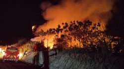 Karhutla Kalimantan Makin Mengkhawatirkan, Ribuan Titik Panas Terdeteksi dan Kabut Asap Ganggu Aktivitas. Dok : Istimewa