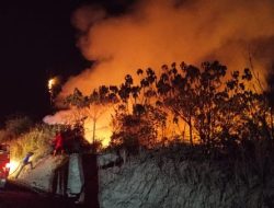 Karhutla Kalimantan Makin Mengkhawatirkan, Ribuan Titik Panas Terdeteksi dan Kabut Asap Ganggu Aktivitas