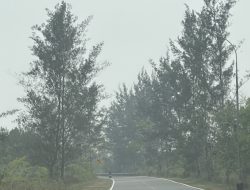 Kabut Tebal Selimuti Bintan, Jarak Pandang Pengendara Berkurang