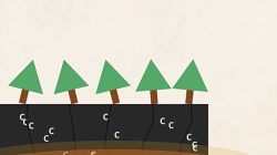 Ilustrasi kondisi tanah kalimantan. Dok : Istimewa