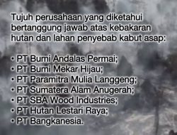 Singapura Soroti 7 Perusahaan Terkait Karhutla di Indonesia, Ini Daftar Lengkapnya