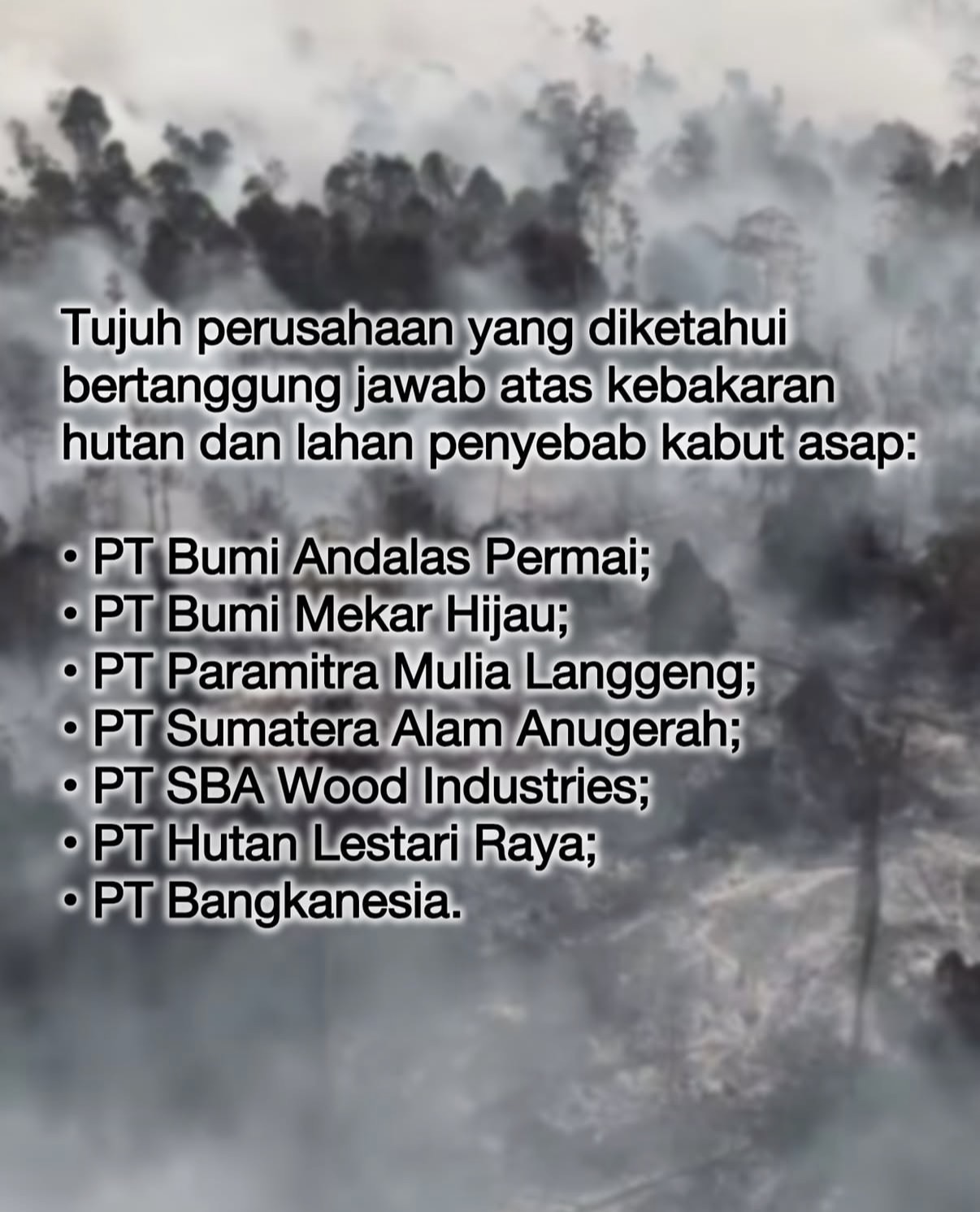 Daftar nama tujuh perusahaan yang diketahui berkaitan dengan pembakaran hutan dan lahan penyebab asap. Dok : Istimewa