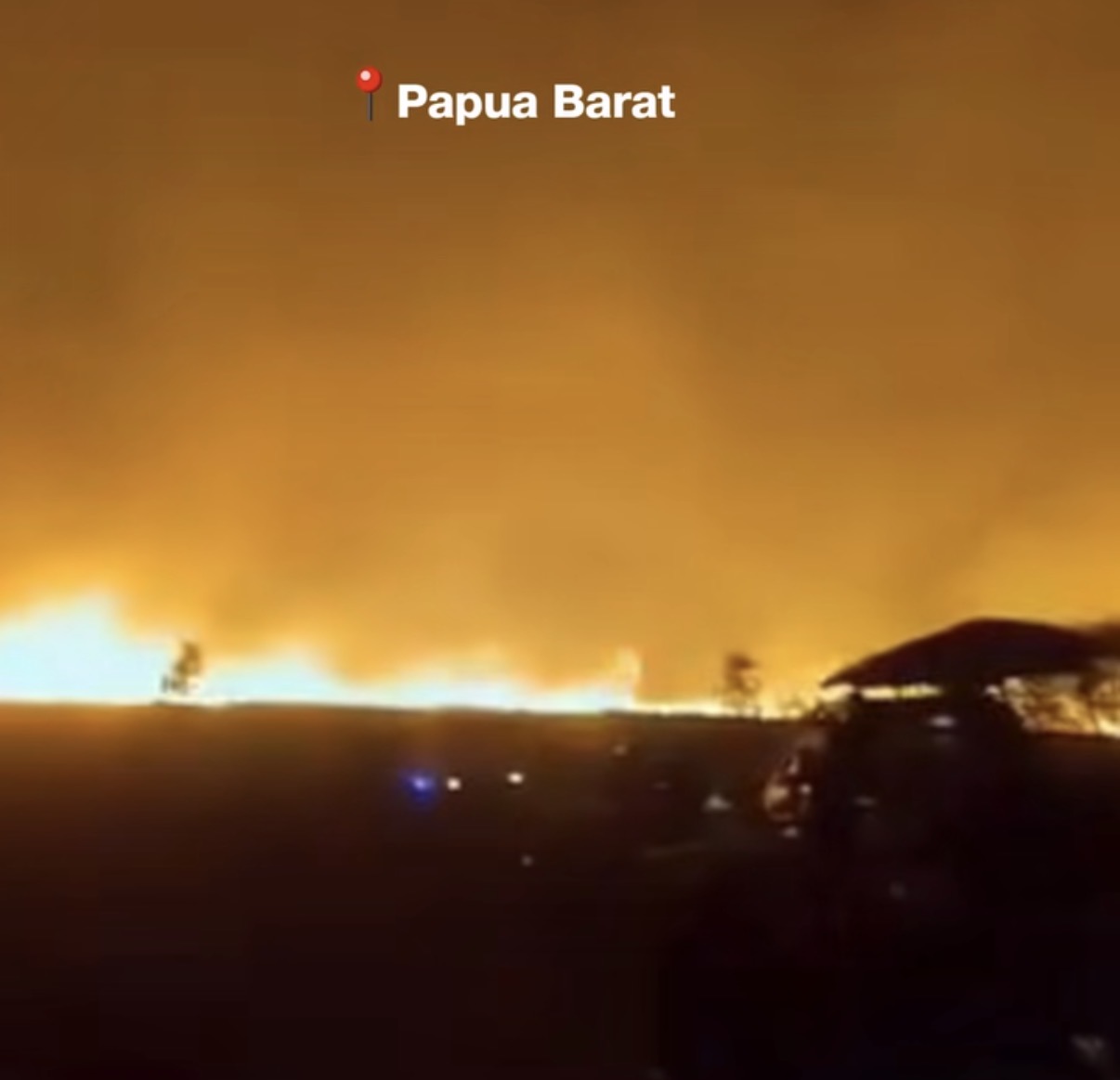 KARHUTLA PAPUA Makin Meluas, 5 Wilayah DIkabuti Asap, Proyek PSN Jadi Sorotan. Dok : Instagram Indozone