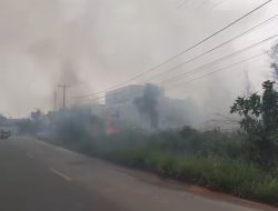Kebakaran Lahan di Jalan Daeng Celak Tanjungpinang, Asap Tebal Selimuti Kawasan